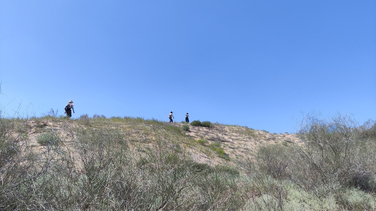 Section image